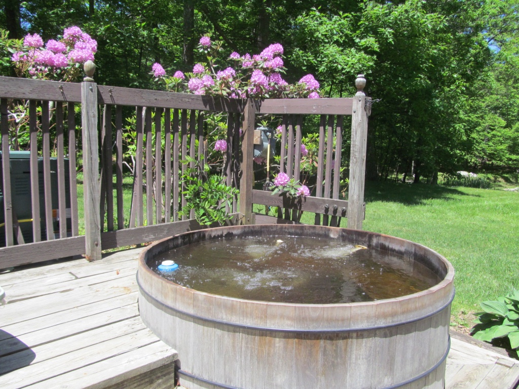 Enjoy our traditional hot tub